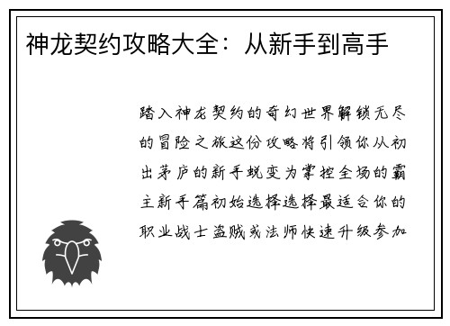 神龙契约攻略大全：从新手到高手